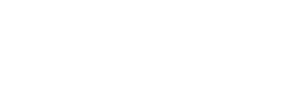 SVN X Labs